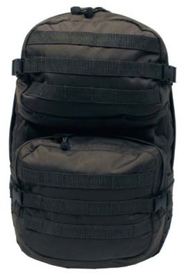 Nahrbtnik US backpack Assault II | olivno zelen