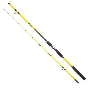 Palica za morski ribolov JENZI Fishing Rod Continuum 1,60 m 20-100 g