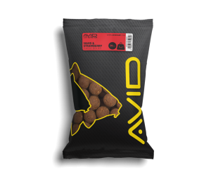 Boili za krapolov AVID CARP Squid & Strawberry Boilies 20mm 1 kg