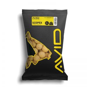 Boili za krapolov AVID CARP Scopex Boilies 20mm 1 kg