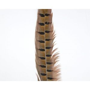 Material za muhe Rudi Heger Traun River Pheasant Centre Tails | natur