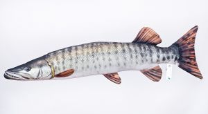 Riba - igrača GABY The Muskellunge 80 cm - muskie | GP-780132