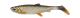 Silikonske vabe SAVAGE GEAR 3D HERRING SHAD 15CM 23g BREAM 2PCS (1639335)