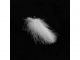 CDC peresa HENDS CDC 1 gram (CDC02 WHITE)