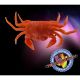Rak za lov hobotnic JENZI Realistic UV Crab, SB, Orange