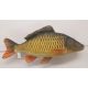 Riba - igrača GABY The Common Carp 64 cm - krap | GP-175846