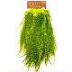 Sedlo - material za vezavo Whiting Coq de Leon Saddle (Quality silver) | grizzly dyed fluoro green