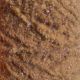 Material za vezavo muh Semperfli EggStatic 15mm | Brown Trout Roe