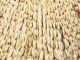 Material za vezavo muh COCK CAPE basic fly fishing - grizzly cream