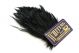 Material za vezavo muh Whiting American Streamer Pack Black