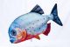 Riba - igrača GABY The Red- bellied Piranha 47 cm | GP-175433