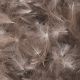 CDC peresa FFGene CDC Premium - Natural 1 gram | Nat. Brown